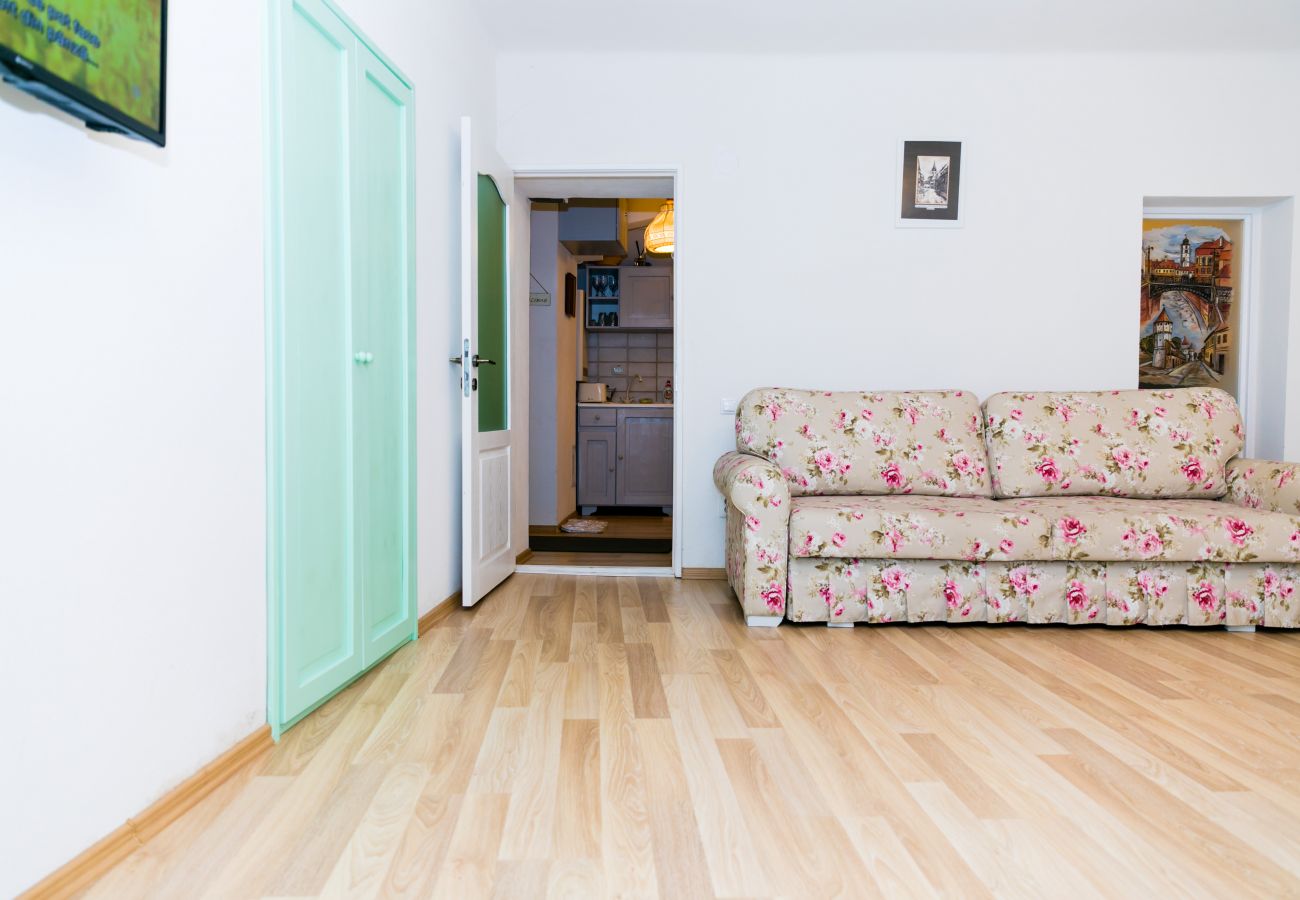 Apartment in Sibiu - Tischler Apartment - Piata Mica Sibiu