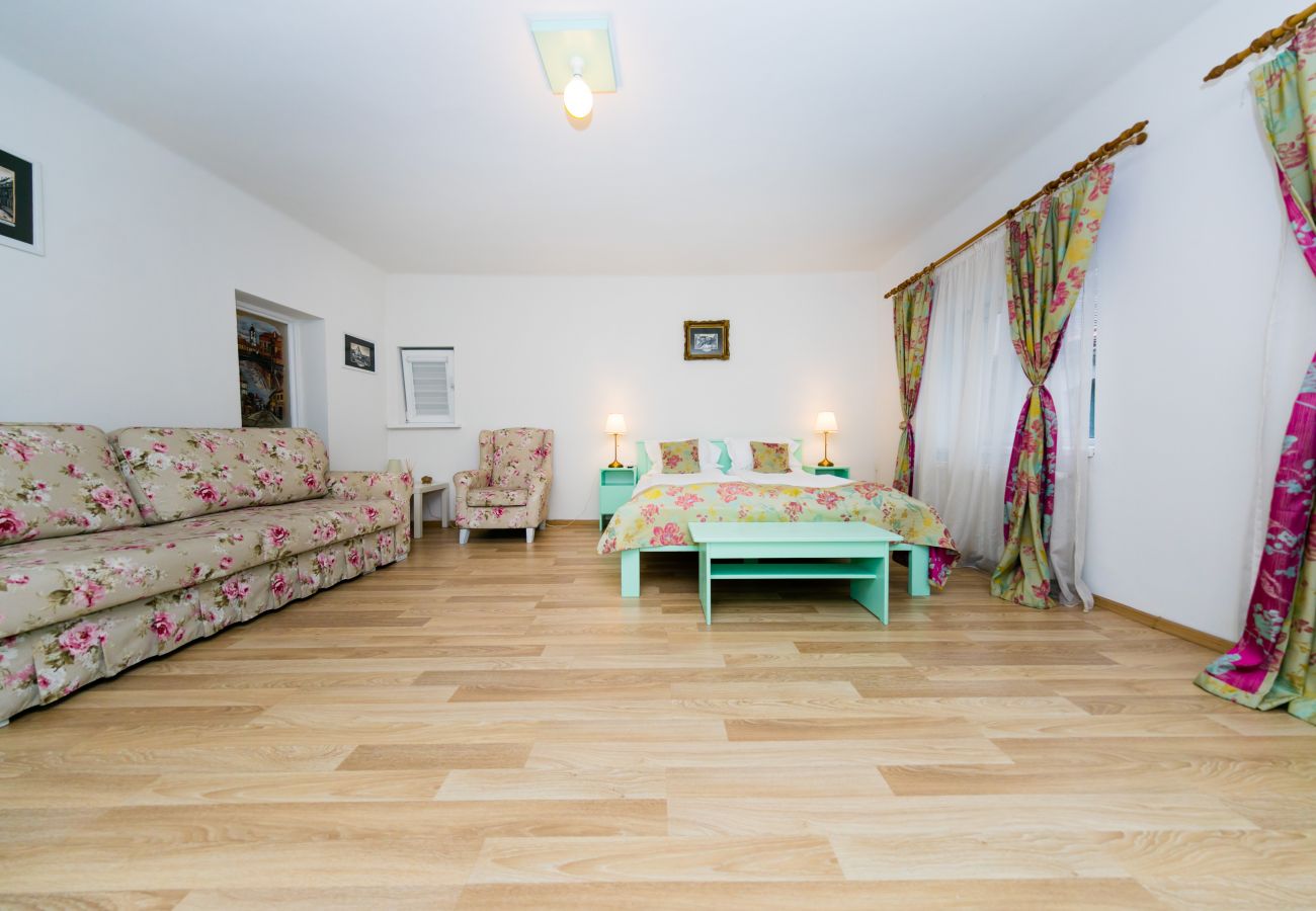 Apartment in Sibiu - Tischler Apartment - Piata Mica Sibiu