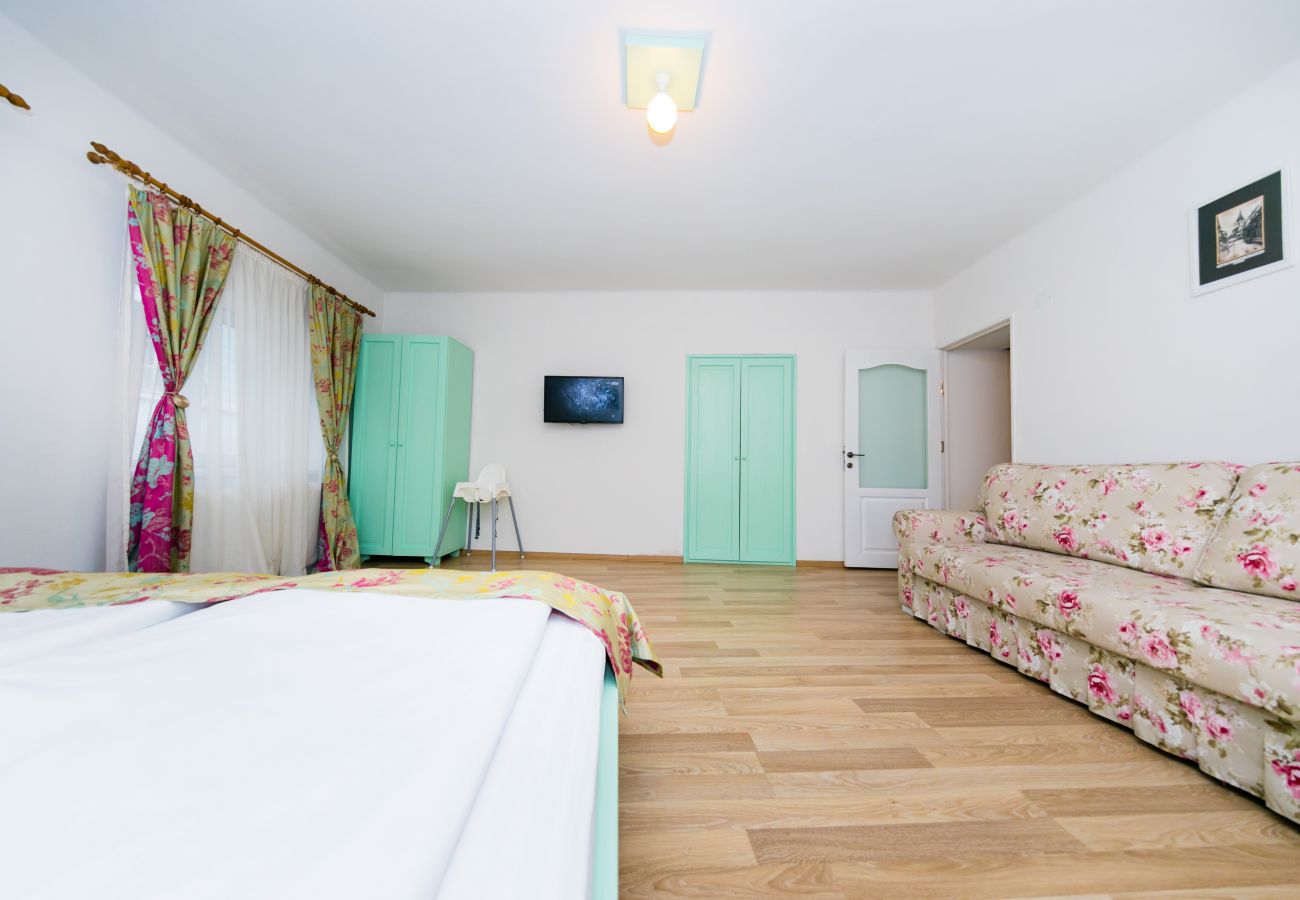Apartment in Sibiu - Tischler Apartment - Piata Mica Sibiu