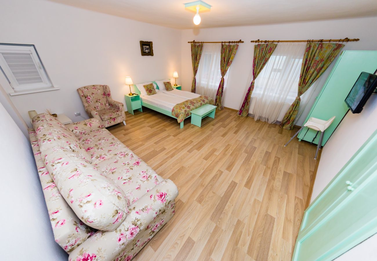 Apartment in Sibiu - Tischler Apartment - Piata Mica Sibiu