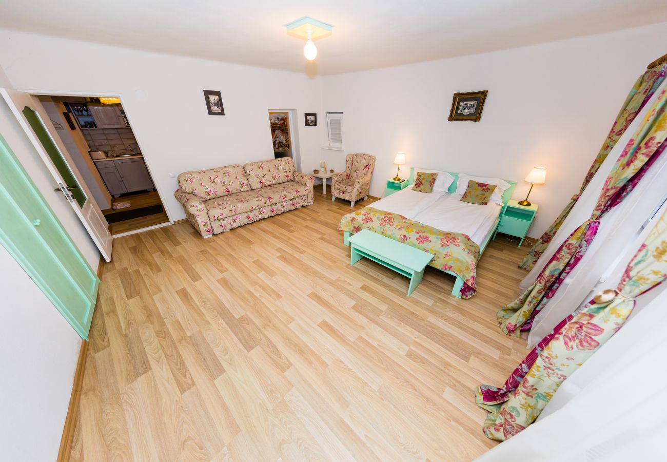 Apartment in Sibiu - Tischler Apartment - Piata Mica Sibiu