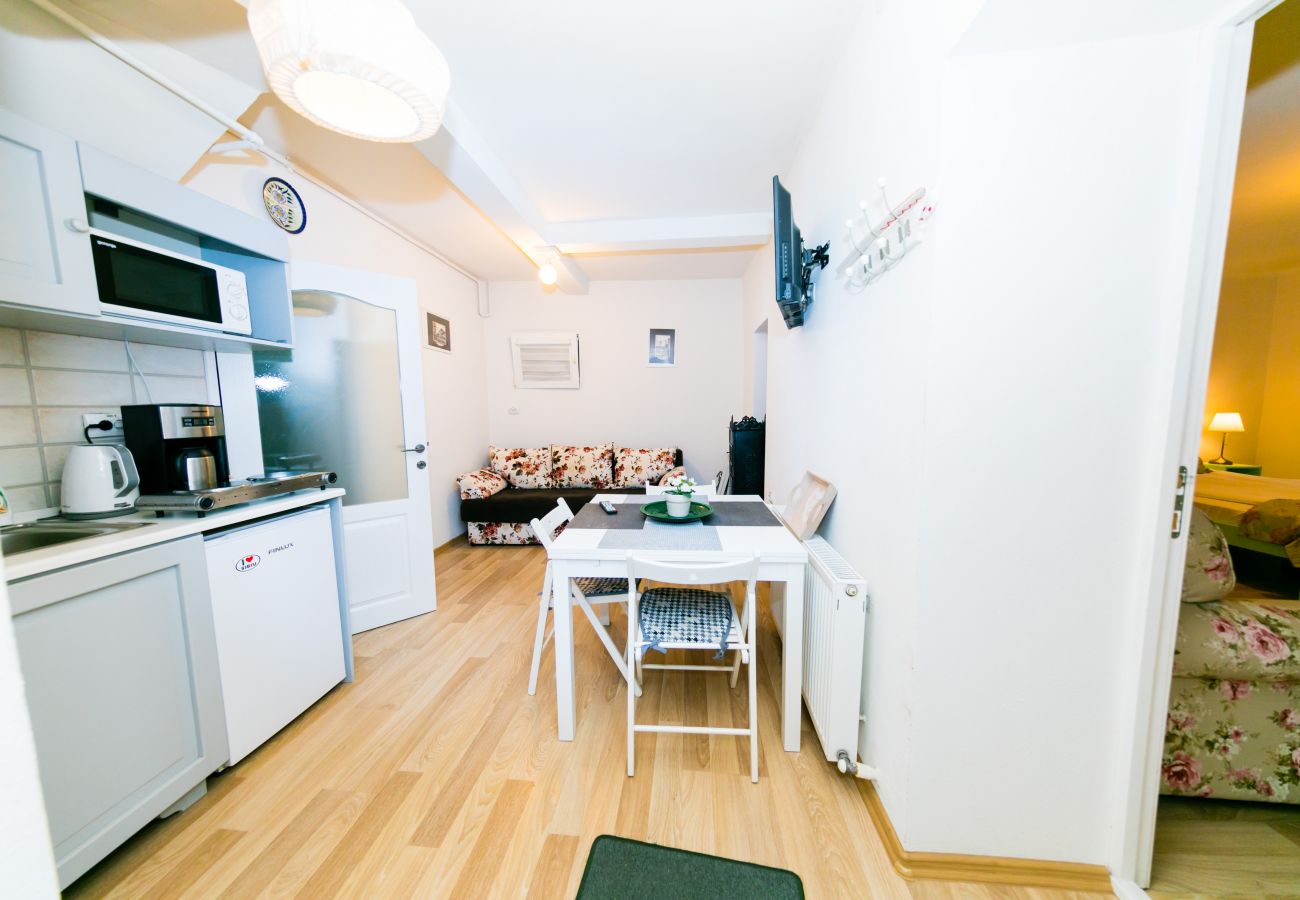 Apartment in Sibiu - Tischler Apartment - Piata Mica Sibiu