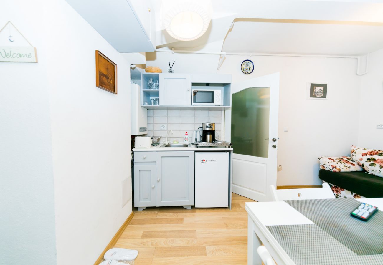 Apartment in Sibiu - Tischler Apartment - Piata Mica Sibiu