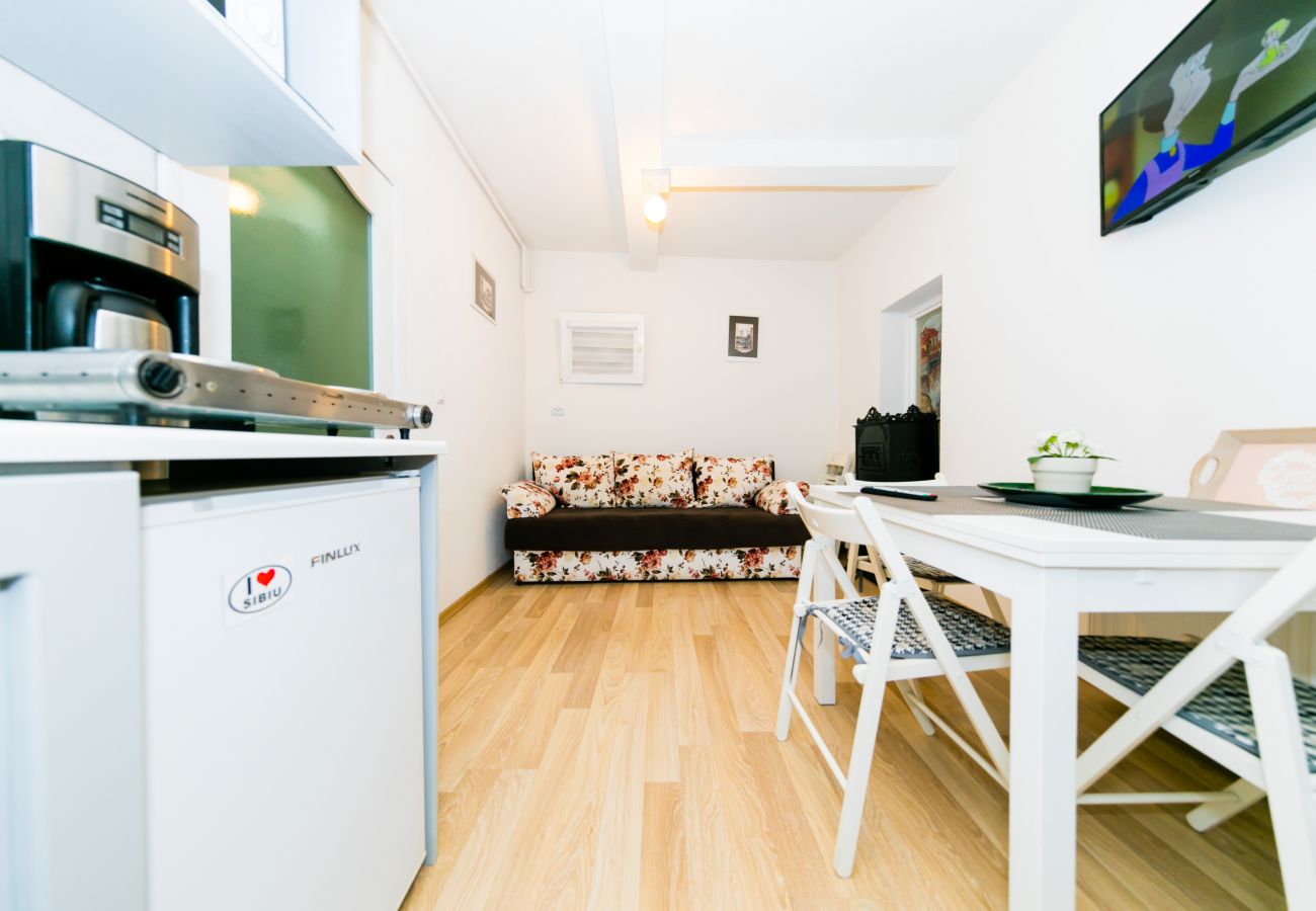Apartment in Sibiu - Tischler Apartment - Piata Mica Sibiu