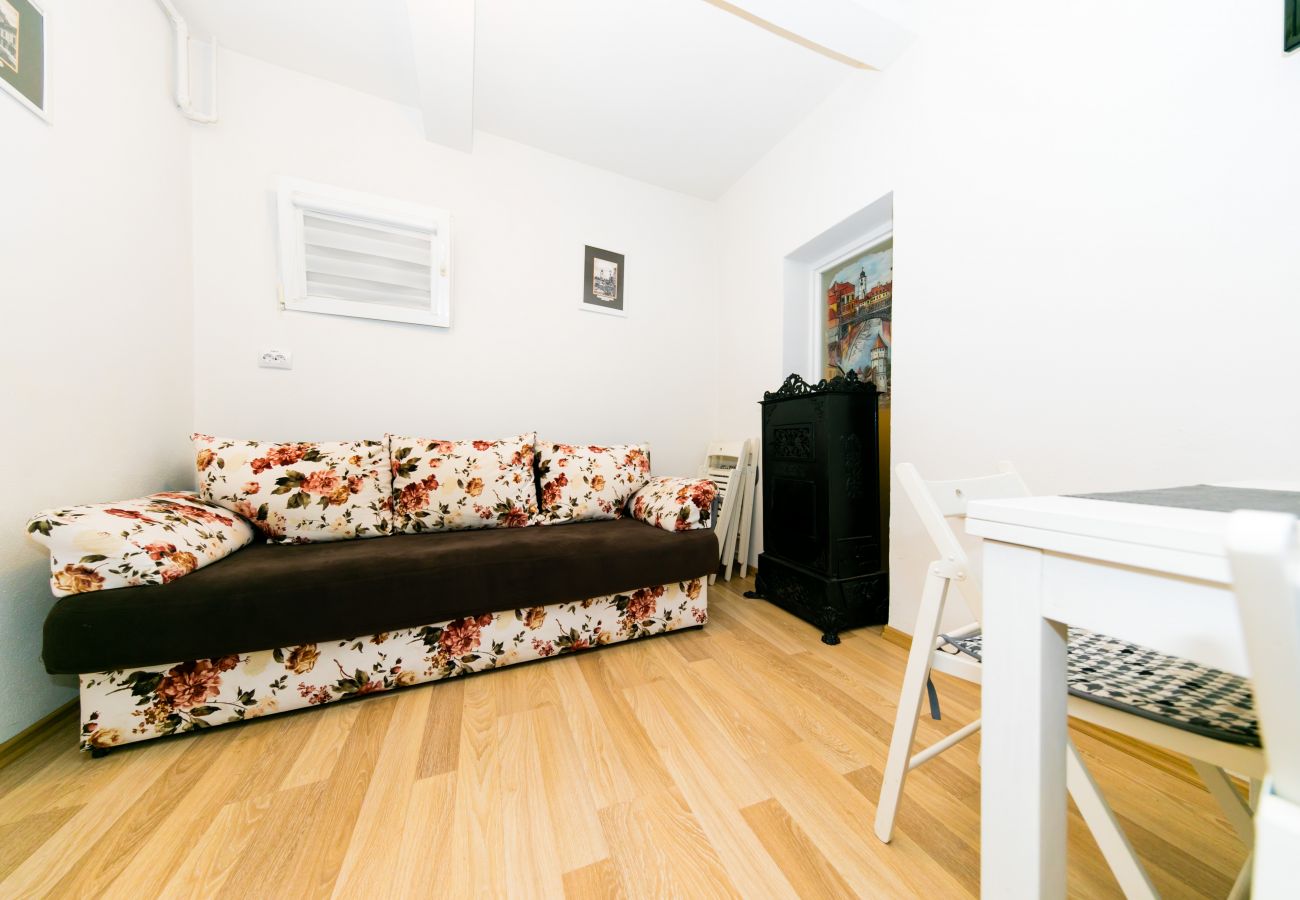 Apartment in Sibiu - Tischler Apartment - Piata Mica Sibiu