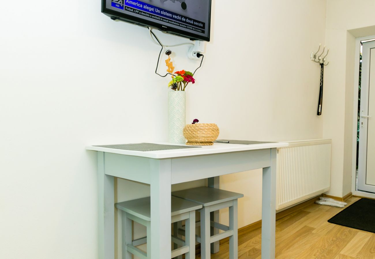 Studio in Sibiu - Thischler Studio Piata Mica Sibiu