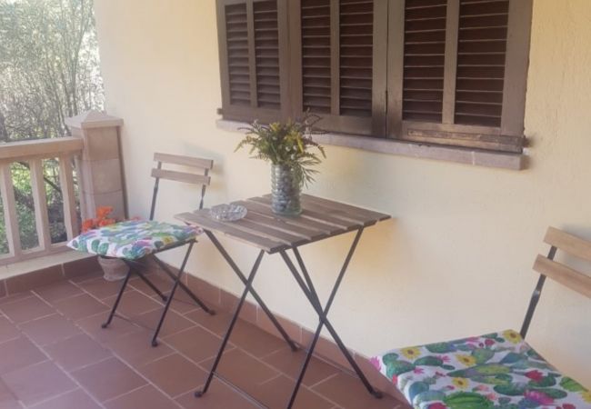 House in Escorca - YourHouse Cas Sito, vacation house in the Tramuntana Mountains House in Escorca - YourHouse Cas Sito, vacation house in the Tramuntana Mountains