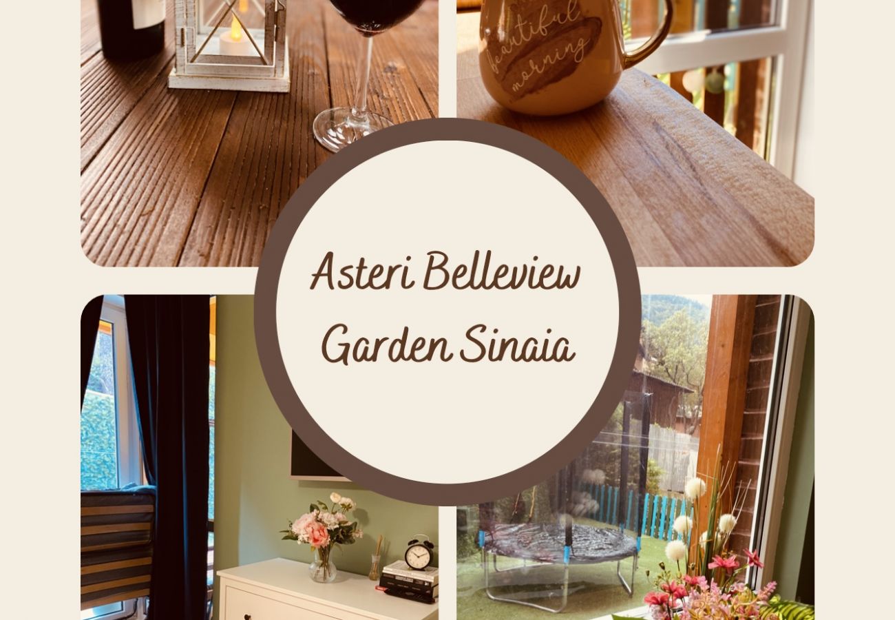 Apartment in Sinaia - Asteri Garden & Terrace Apartment