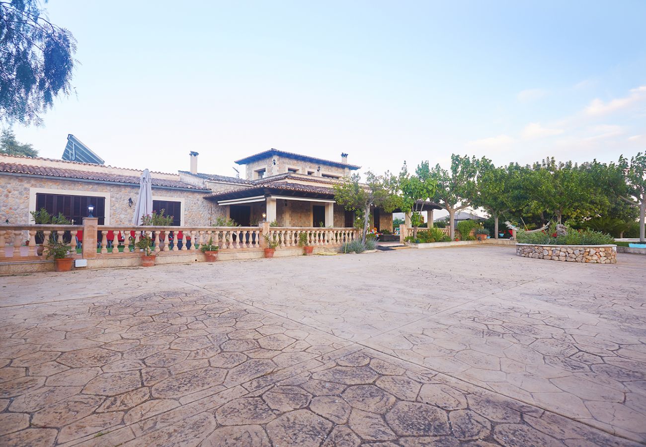 Villa in Alaro - VILLA CAN DOMINGO - ALARO