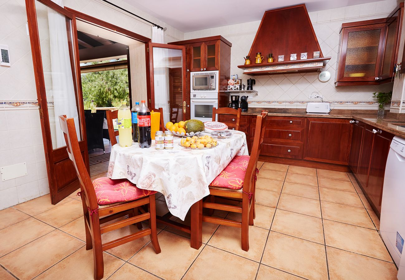 Villa in Alaro - VILLA CAN DOMINGO - ALARO