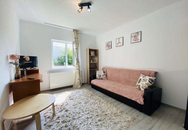  in Blaj - Stay in Blaj feel like home - One Bedroom Apartment