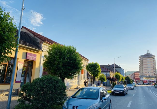 Apartment in Blaj - Central Apartment with Garden in Blaj Apartment in Blaj - Central Apartment with Garden in Blaj