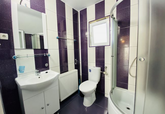 Apartment in Blaj - Central Apartment with Garden in Blaj Apartment in Blaj - Central Apartment with Garden in Blaj