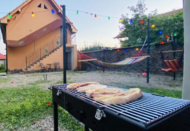 Apartment in Blaj - Central Apartment with Garden in Blaj Apartment in Blaj - Central Apartment with Garden in Blaj