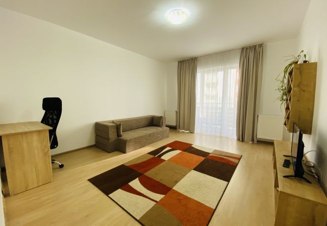 Apartment in Brasov - Stay in Brasov feel like home Apartment in Brasov - Stay in Brasov feel like home