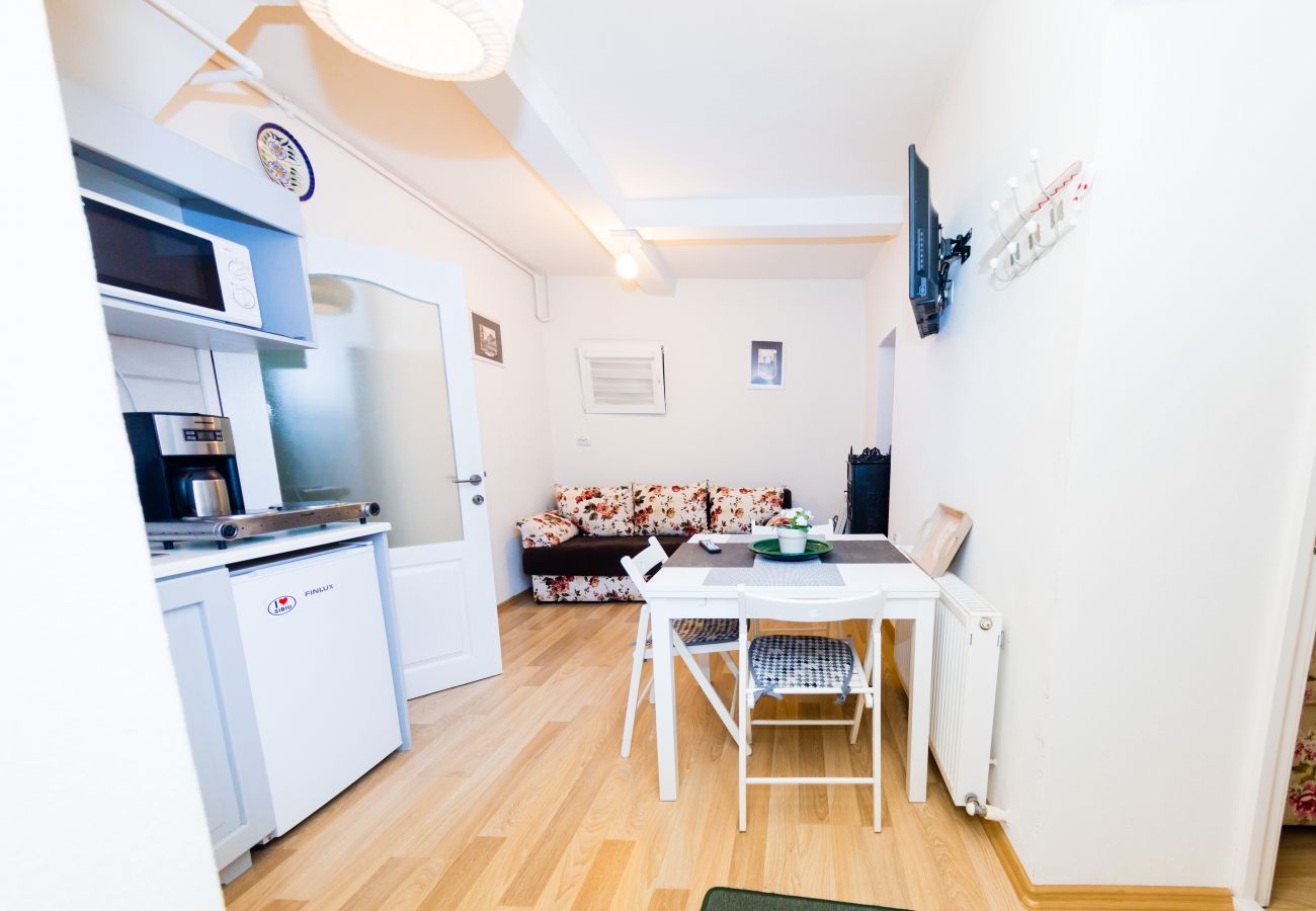 Apartment in Sibiu - One Bedroom Apartment near to the Piata Mica