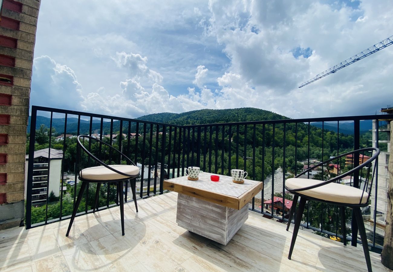 Apartment in Sinaia - Deluxe Apartment with balcony panoramic view