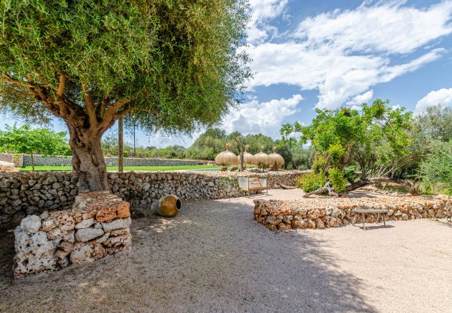 Farm stay in Costitx - Cal Tio 2  YourHouse, quiet rural home with shared pool Farm stay in Costitx - Cal Tio 2  YourHouse, quiet rural home with shared pool