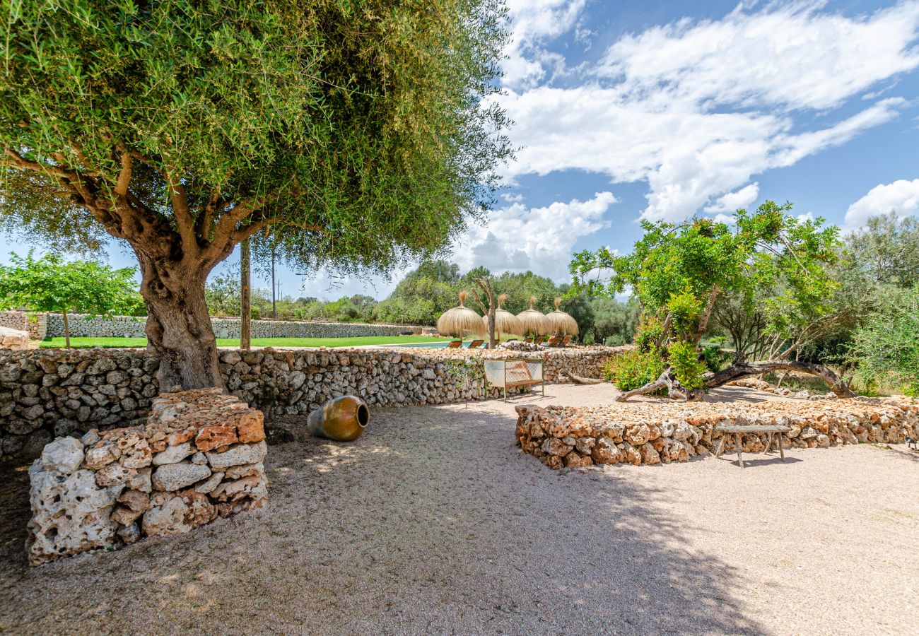 Farm stay in Costitx - Cal Tio 2  YourHouse, quiet rural home with shared pool