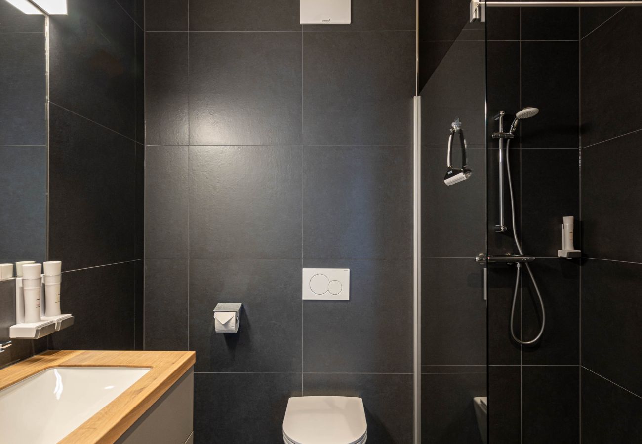 Apartment in Bad Mitterndorf - GRIMMINGlofts Family Deluxe