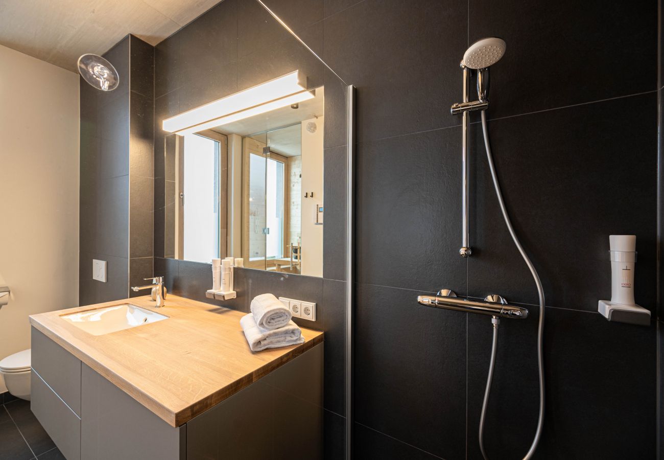 Apartment in Bad Mitterndorf - GRIMMINGlofts Family Deluxe