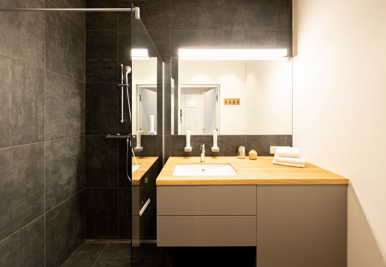Apartment in Bad Mitterndorf - GRIMMINGlofts Friends Deluxe