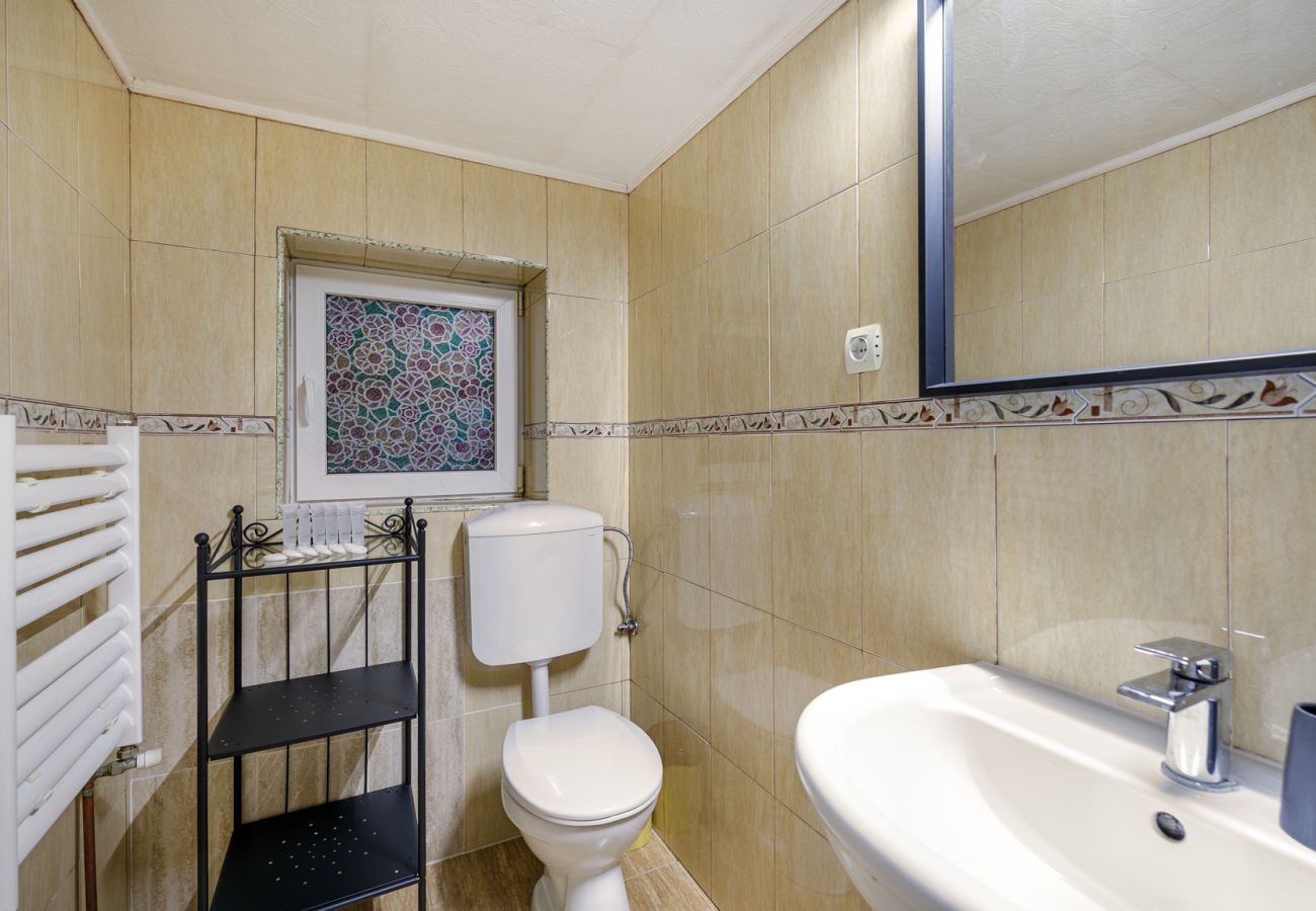 Apartment in Bistrita - Jungla Apartment - Charming  Flat Unirea
