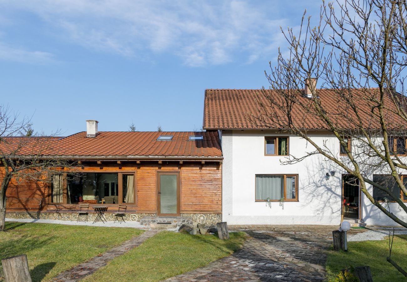 Apartment in Bistrita - Jungla Apartment - Charming  Flat Unirea