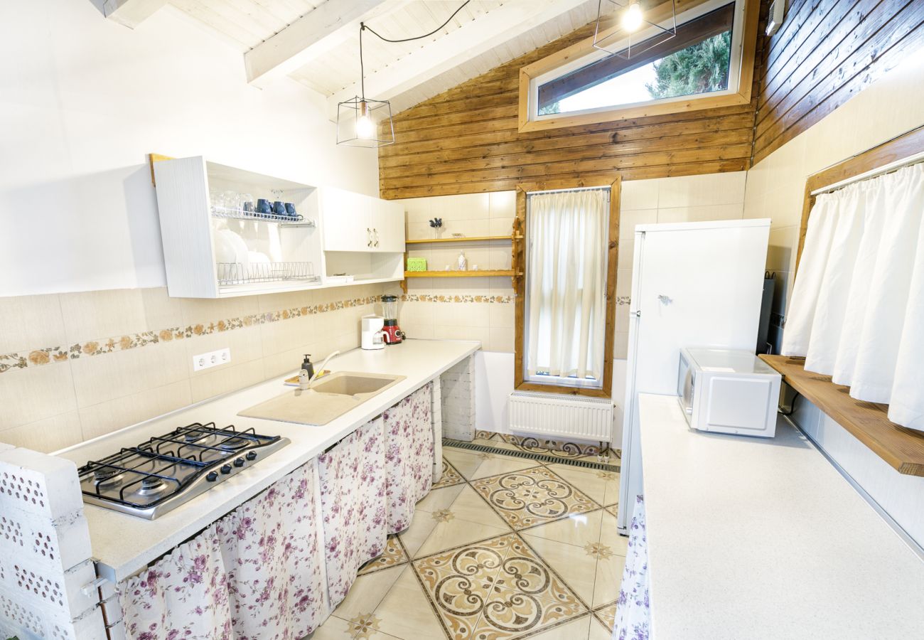Apartment in Bistrita - Jungla Apartment - Charming  Flat Unirea
