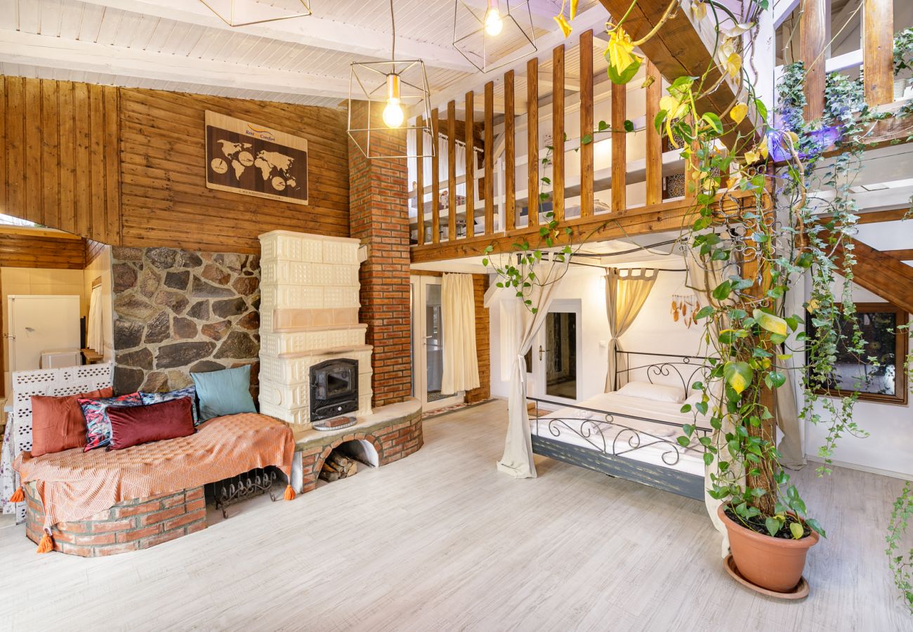 Apartment in Bistrita - Jungla Apartment - Charming  Flat Unirea