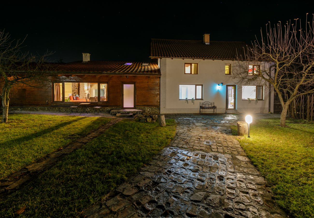 Apartment in Bistrita - Jungla Apartment - Charming  Flat Unirea