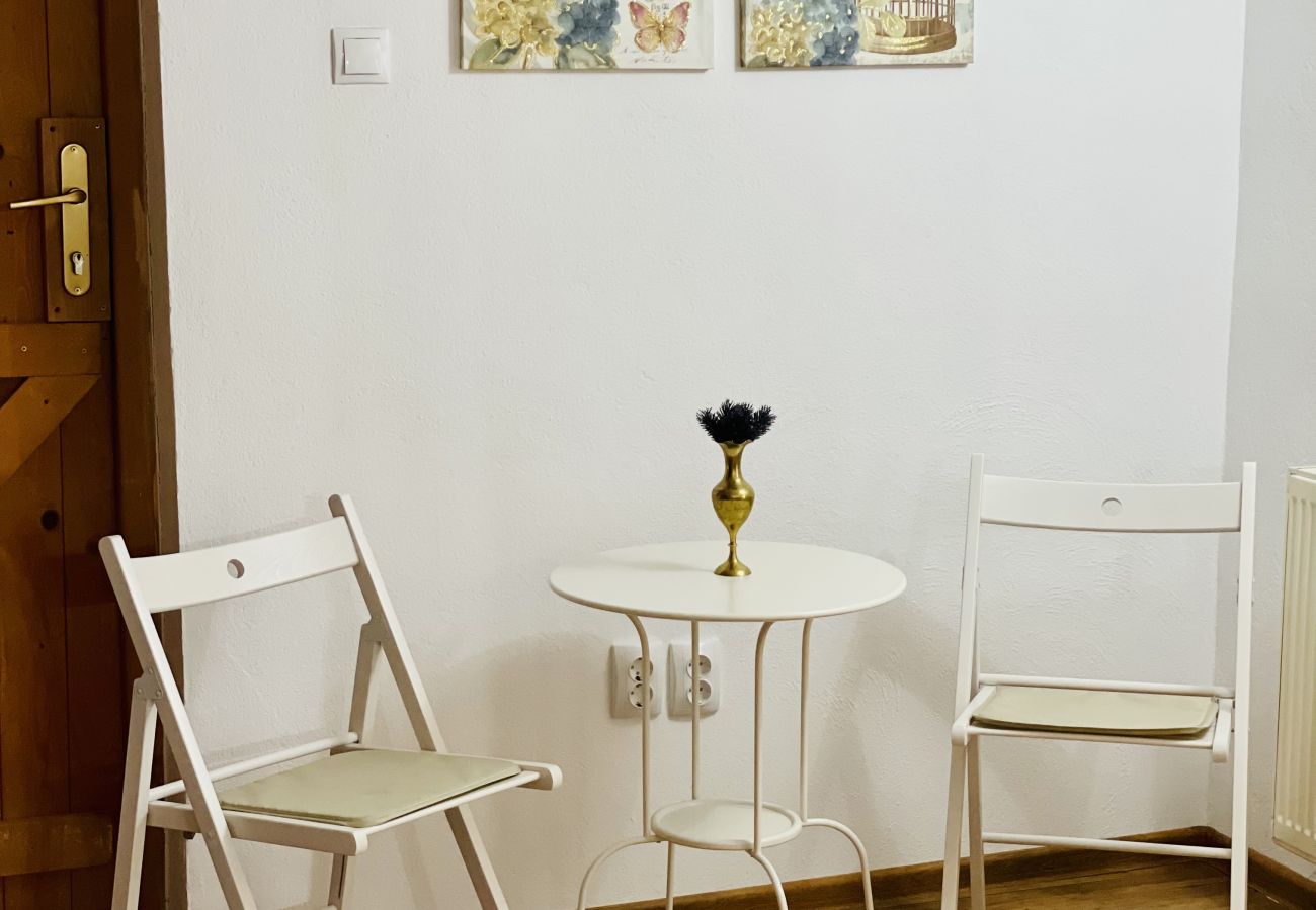 Apartment in Bistrita - Jungla Apartment - Charming  Flat Unirea