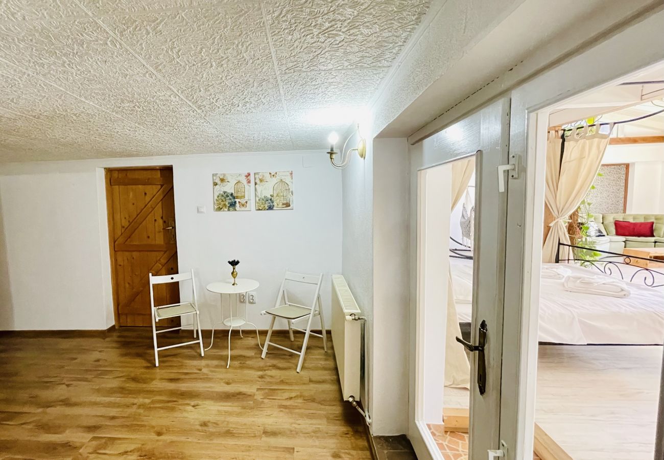Apartment in Bistrita - Jungla Apartment - Charming  Flat Unirea