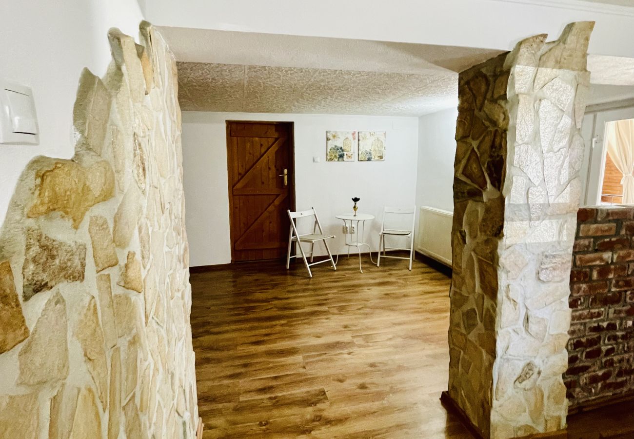 Apartment in Bistrita - Jungla Apartment - Charming  Flat Unirea