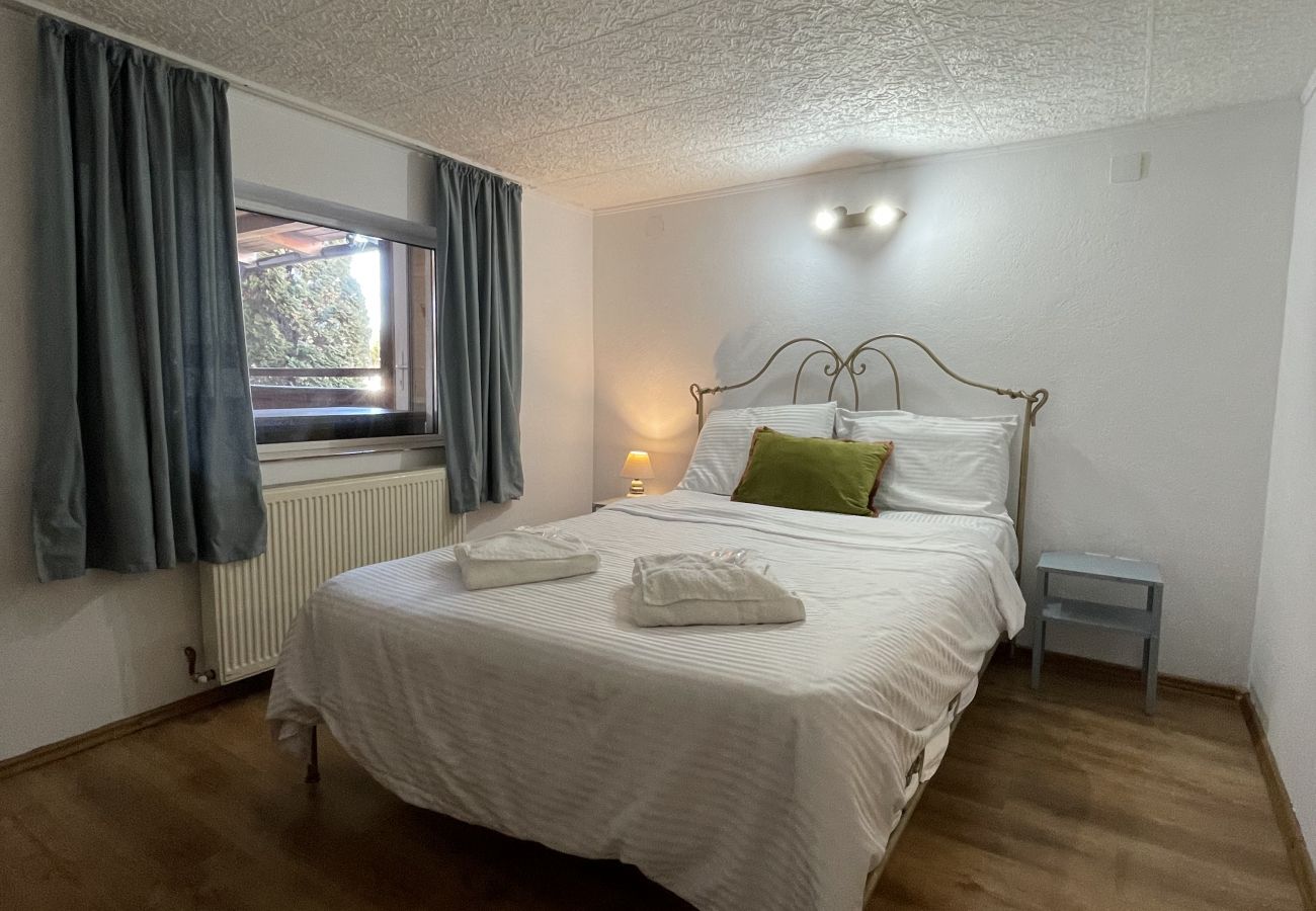 Apartment in Bistrita - Jungla Apartment - Charming  Flat Unirea