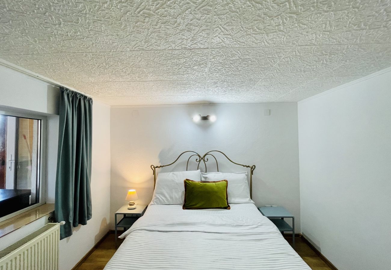 Apartment in Bistrita - Jungla Apartment - Charming  Flat Unirea