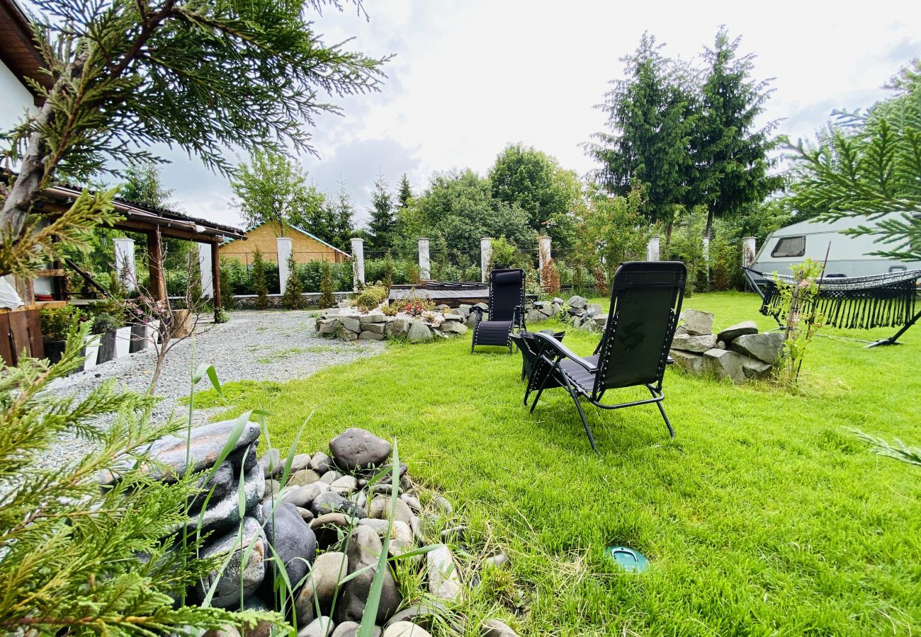 Apartment in Bistrita - Jungla Apartment - Charming  Flat Unirea