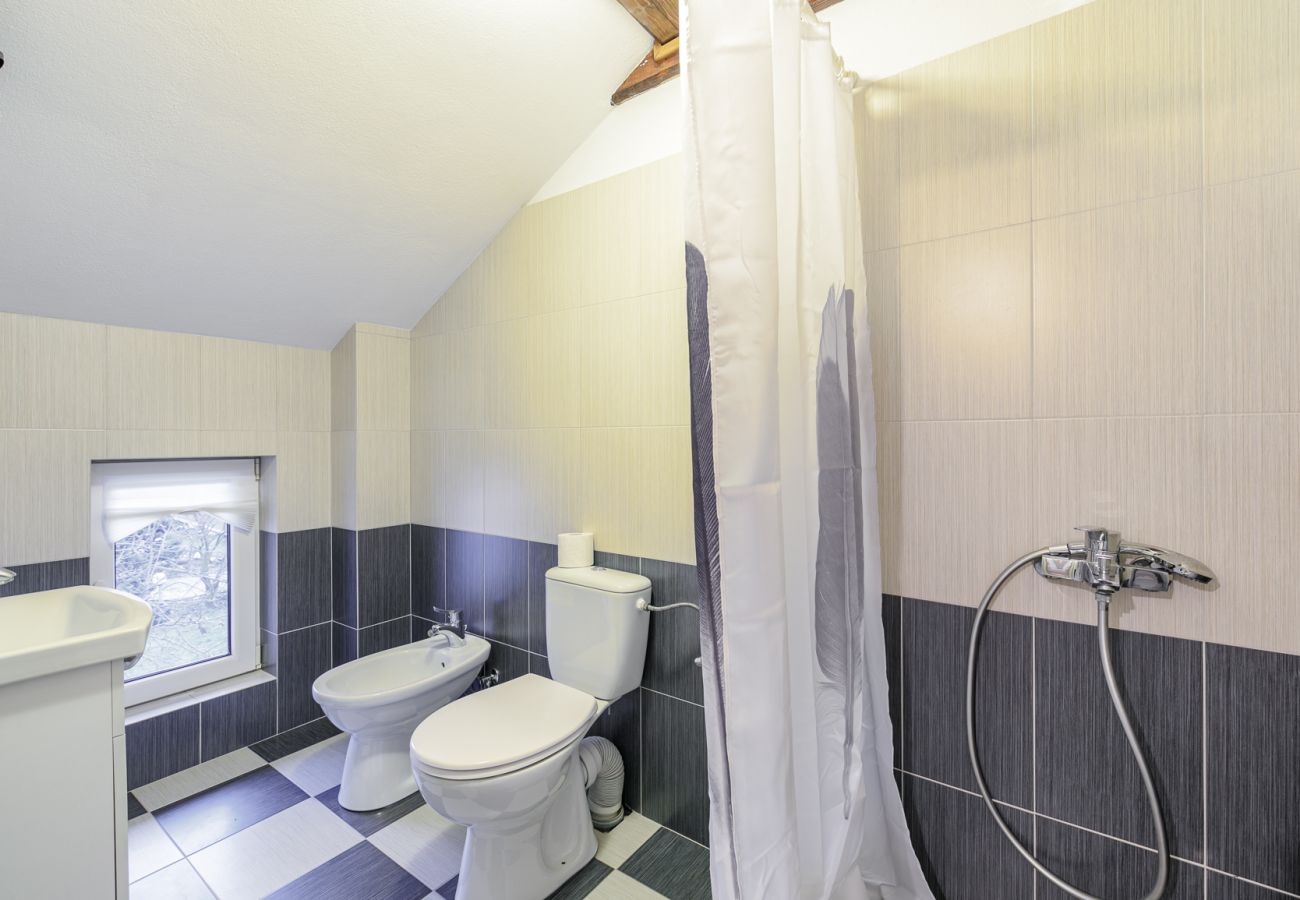 Rent by room in Bistrita - Cozy Room with access Garden 