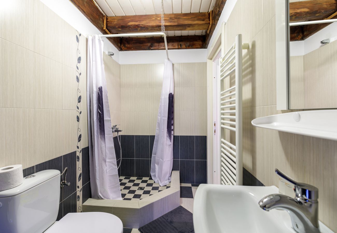 Rent by room in Bistrita - Cozy Room with access Garden 