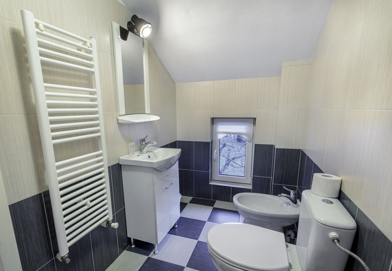 Rent by room in Bistrita - Cozy Room with access Garden 