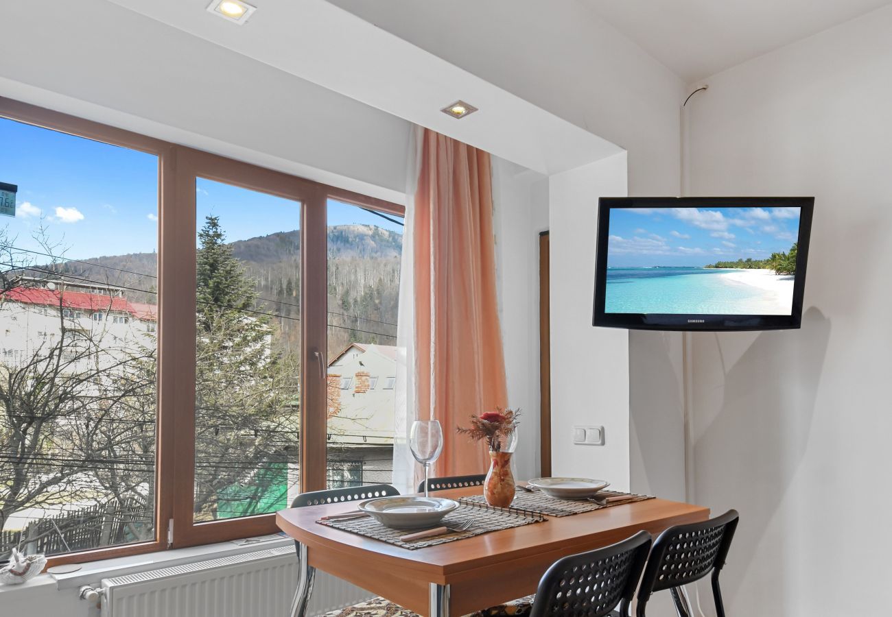 Studio in Sinaia - Cozy Mountain Little Studio 