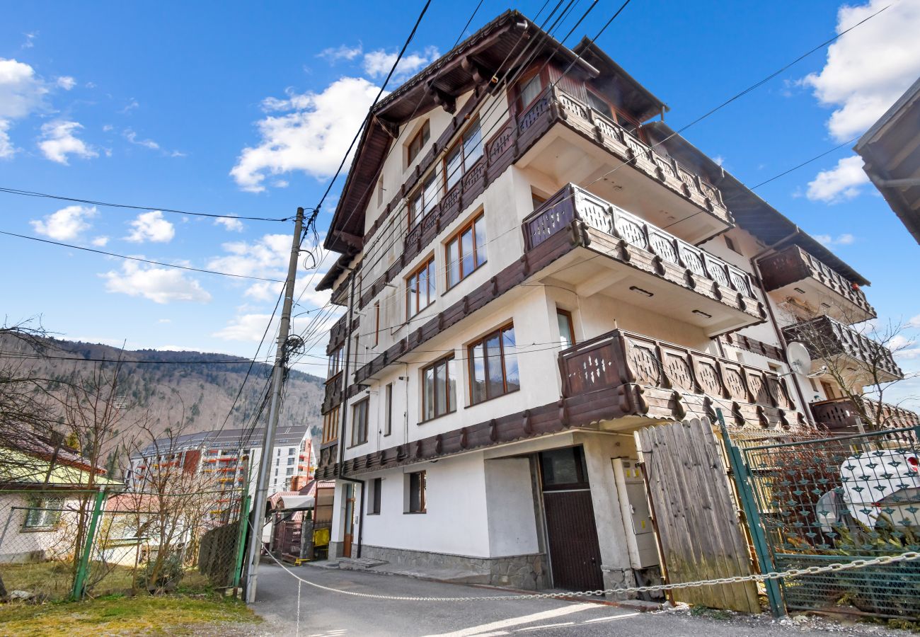 Studio in Sinaia - Cozy Mountain Little Studio 
