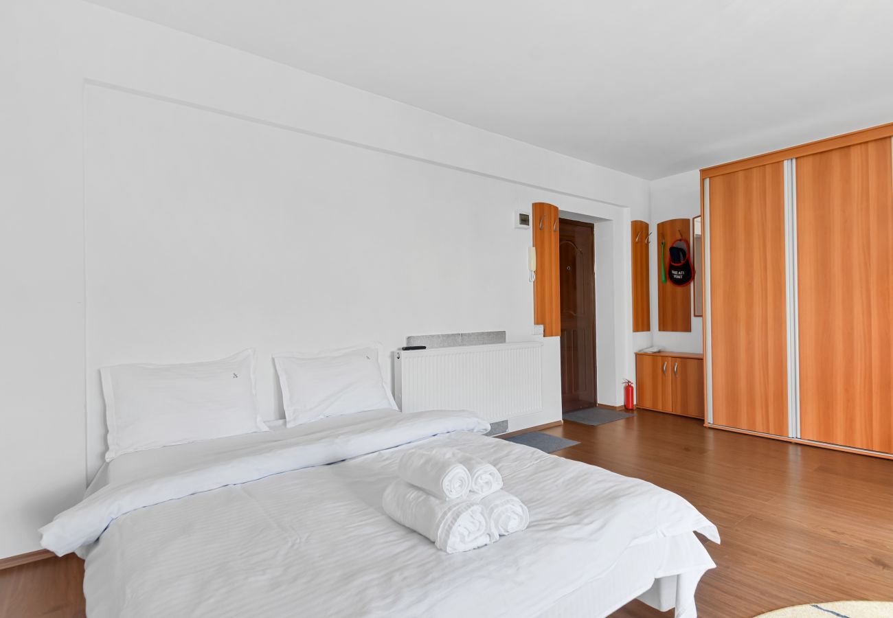 Studio in Sinaia - Cozy Mountain Little Studio 