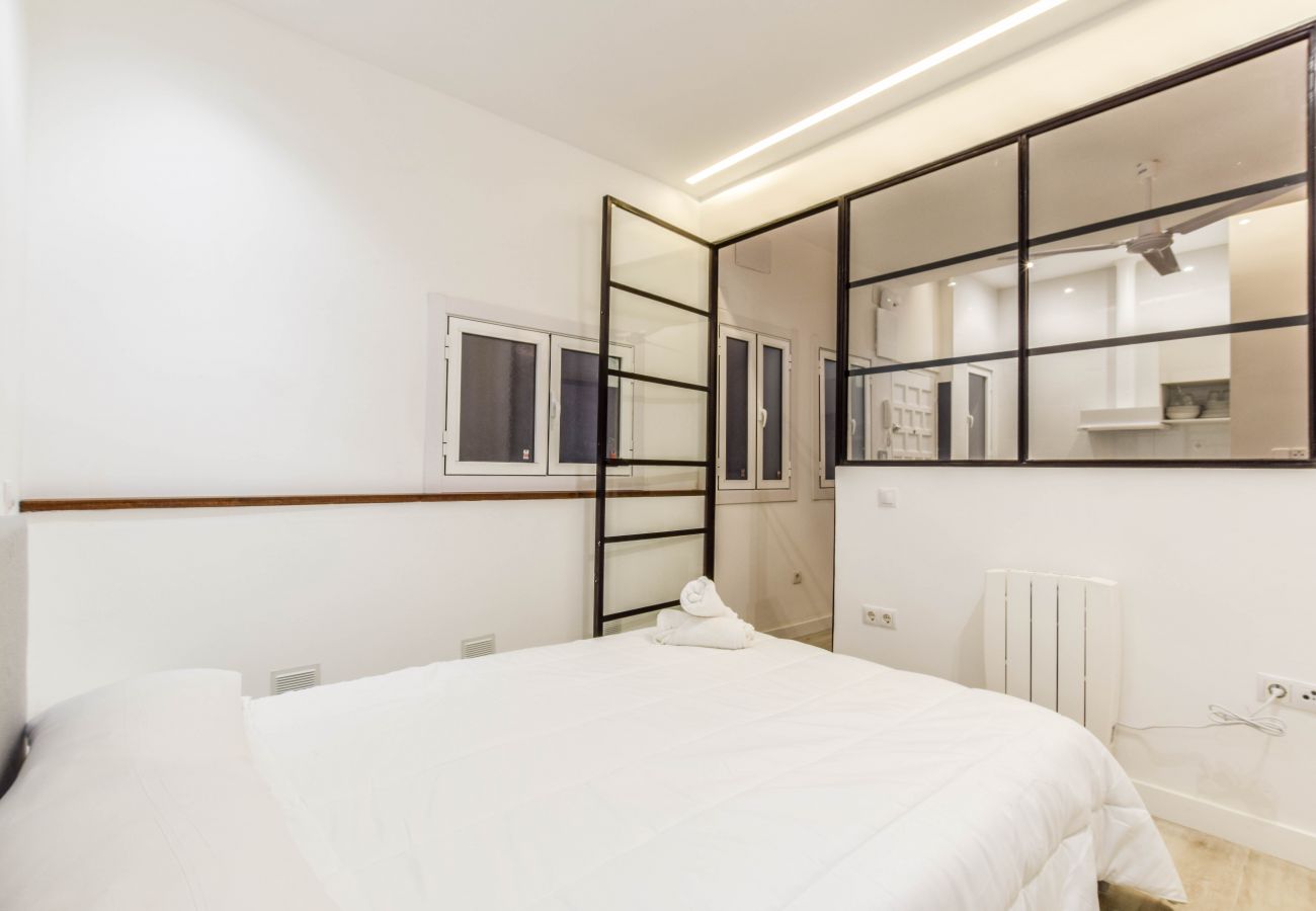 Apartment in Madrid - BUENAVISTA 12