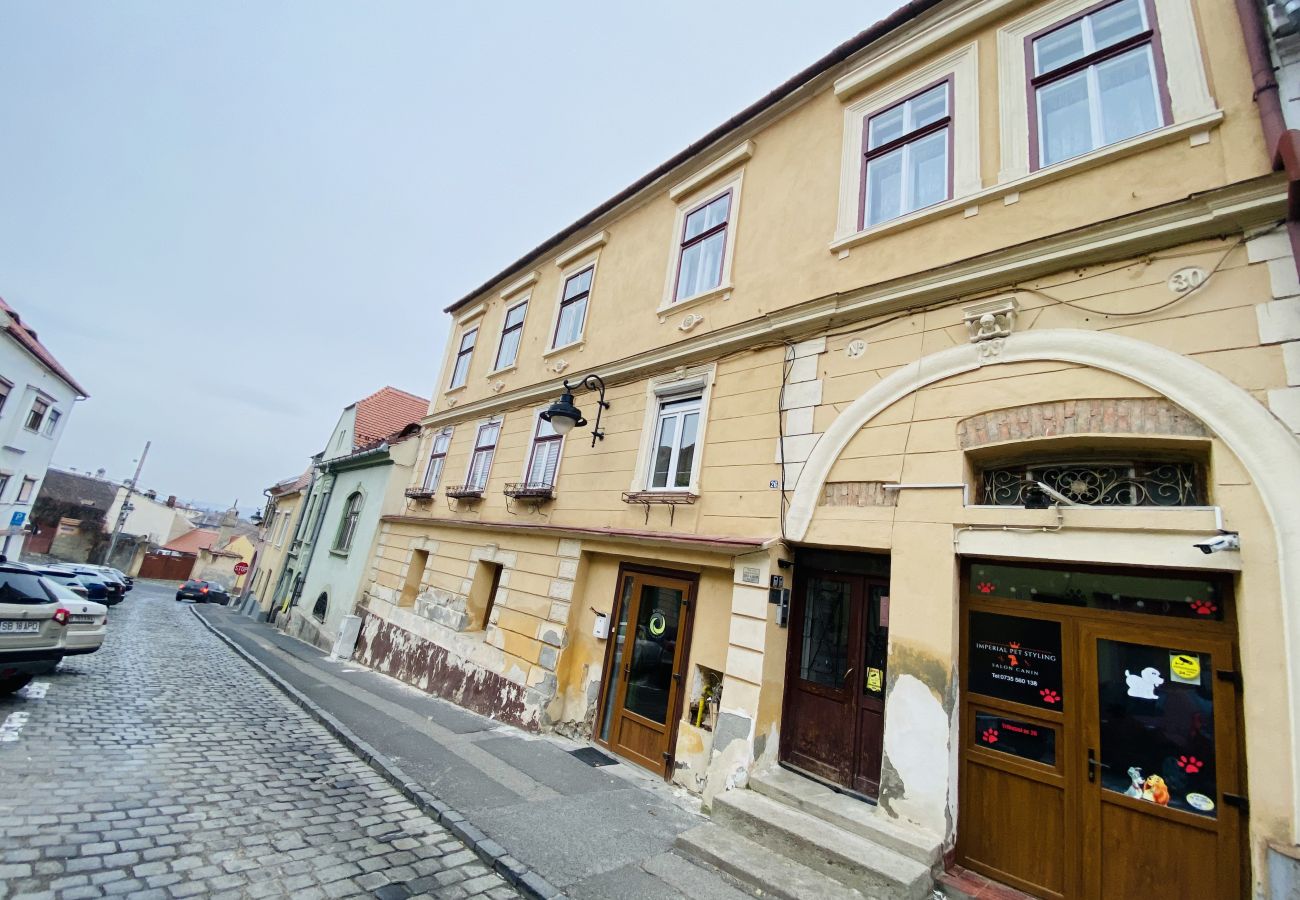 Apartment in Sibiu - Ray's Place in Old Town