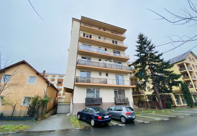 Apartment in Bistrita -  Charming Flat in Bistrita Apartment in Bistrita -  Charming Flat in Bistrita
