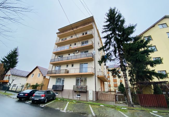 Apartment in Bistrita -  Charming Flat in Bistrita Apartment in Bistrita -  Charming Flat in Bistrita