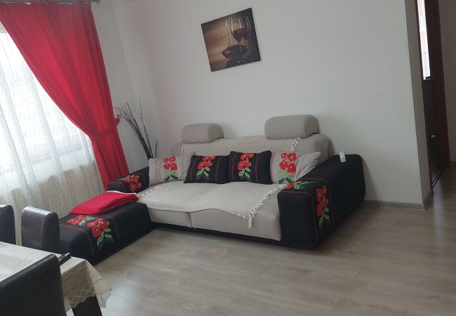  in Bistrita - RentForComfort Charming Flat in Bistrita