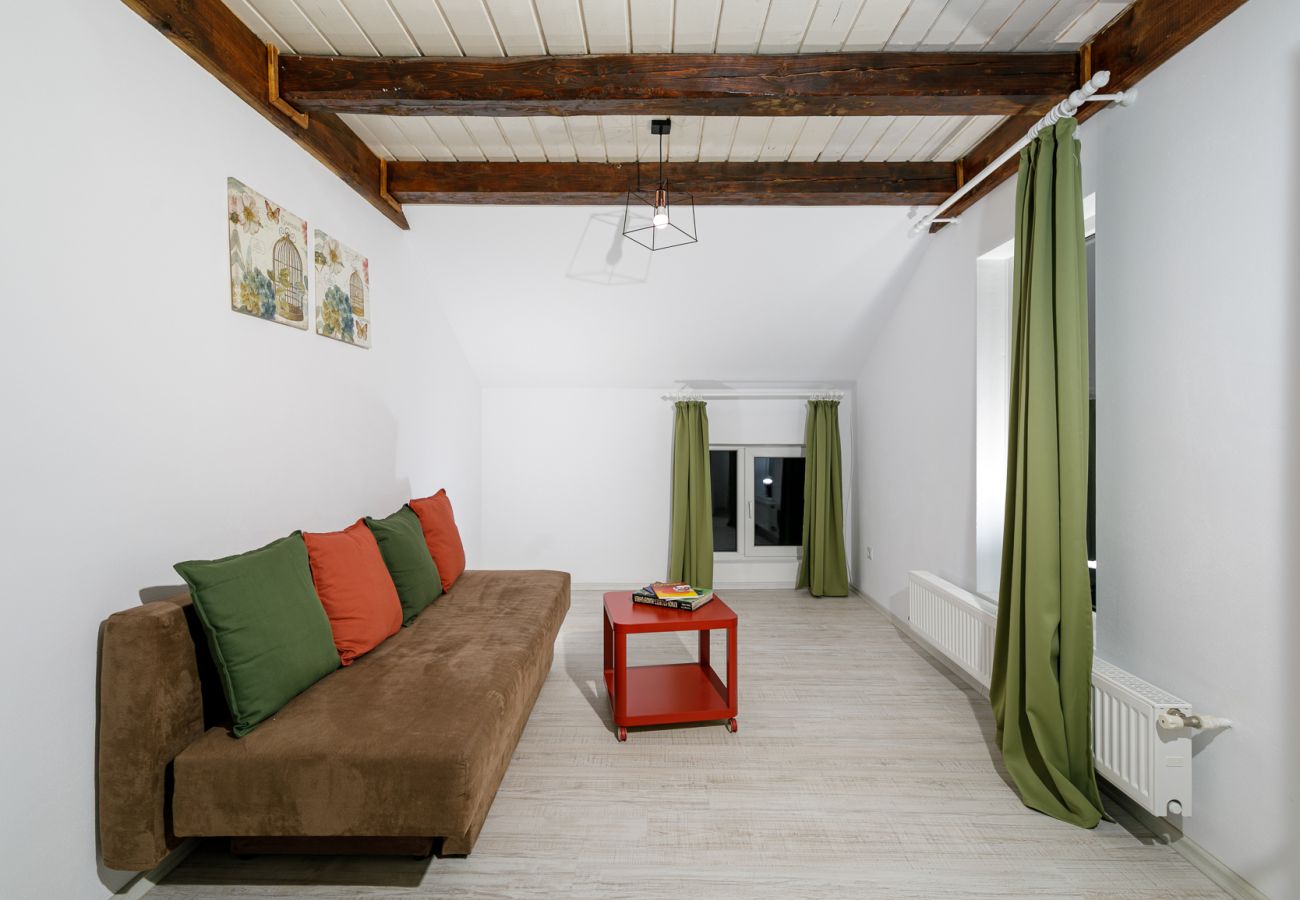 House in Bistrita - Tropica Home with Barbeque & Ciubar