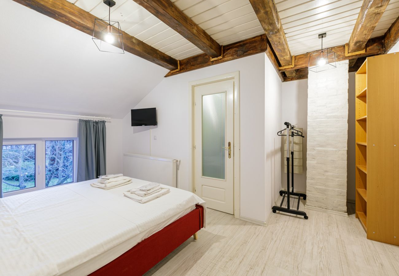 House in Bistrita - Tropica Home with Barbeque & Ciubar